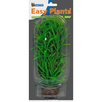 Easy Plants Middle NR3